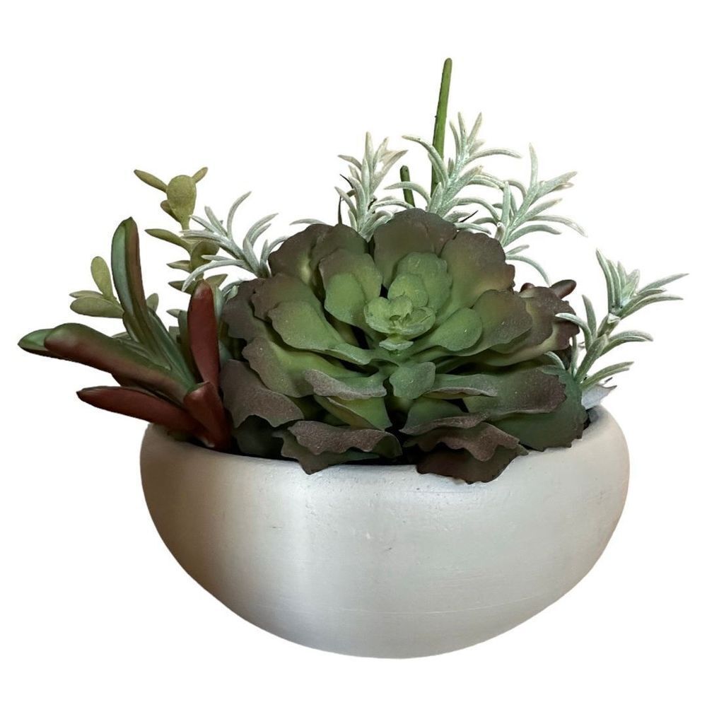 Project 62 Artificial Succulent Plant - Picture 3 of 4